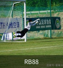 RB88展示