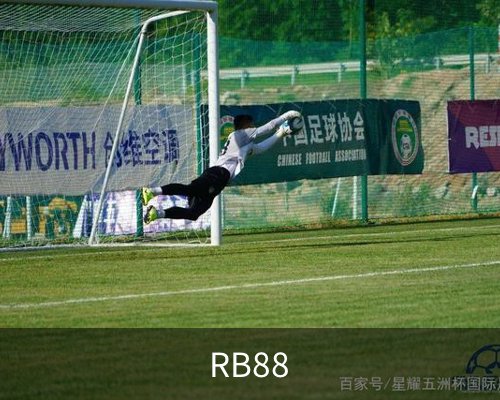 RB88体育的故事 